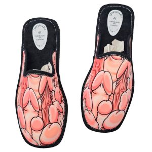 DIABLO PICANTE - PENISES SHOES MEDIUM SIZE 39-40-41 - Image 1
