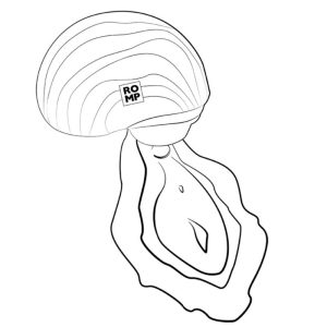 ESTIMULADOR DE CLÍTORIS SPIN ANTITUDE (COM ROTAÇÃO) - Image 16