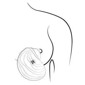 ESTIMULADOR DE CLÍTORIS SPIN ANTITUDE (COM ROTAÇÃO) - Image 17