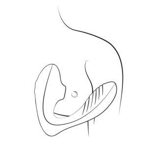 VIBRADOR DO PONTO G REVERB (COM SUCÇÃO) - Image 10
