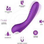 VIBRADOR